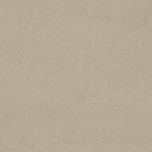 Clarissa Hulse Tisbury Shell