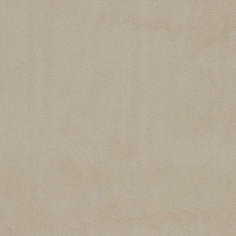 Clarissa Hulse Tisbury Shell