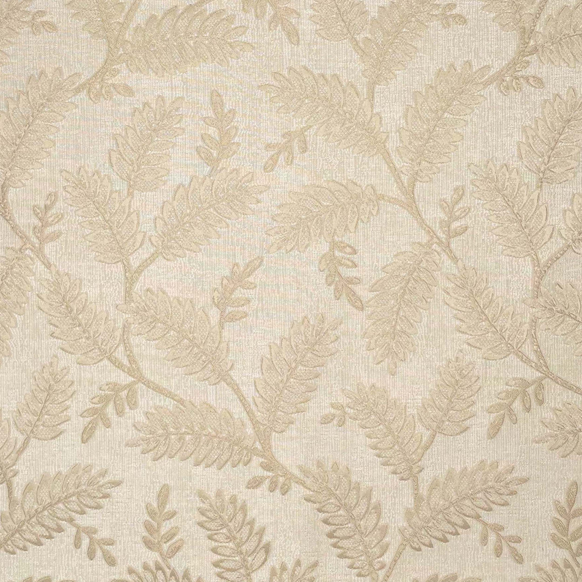 Chatham Glyn Winterbourne Jasmine