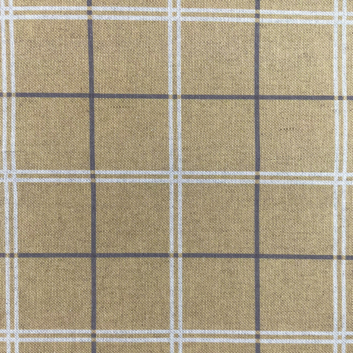 Chatham Glyn Rectory Dandelion