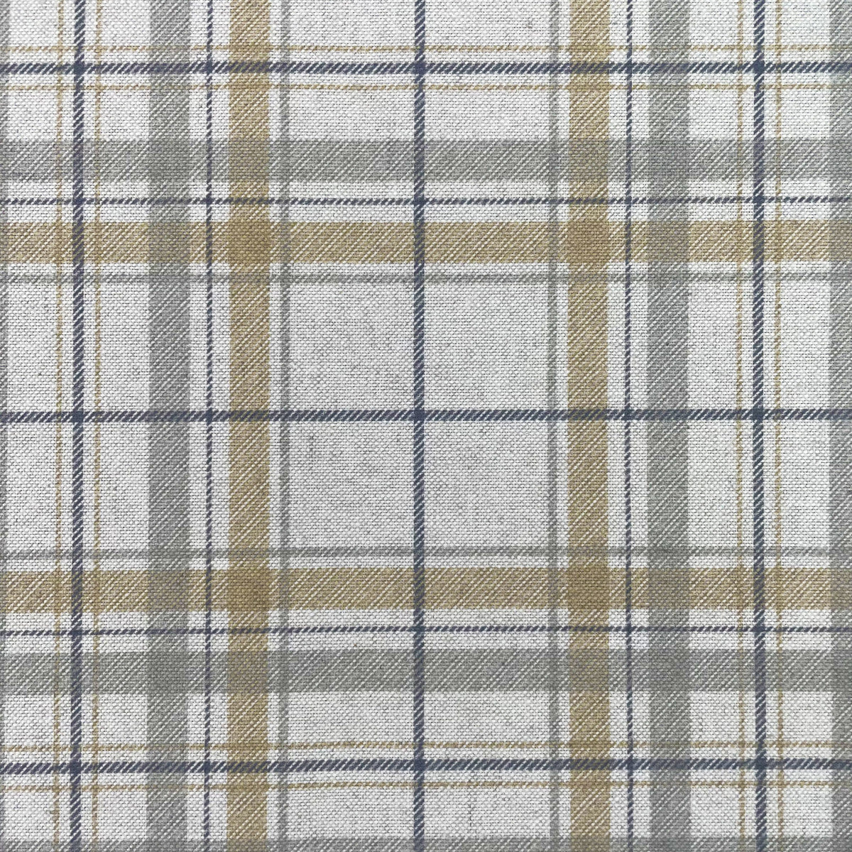 Chatham Glyn Kyle Buttercup