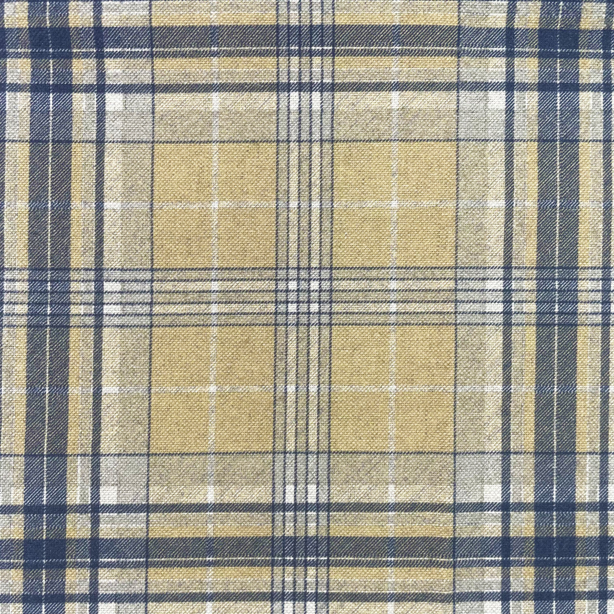 Chatham Glyn Maxwell Buttercup