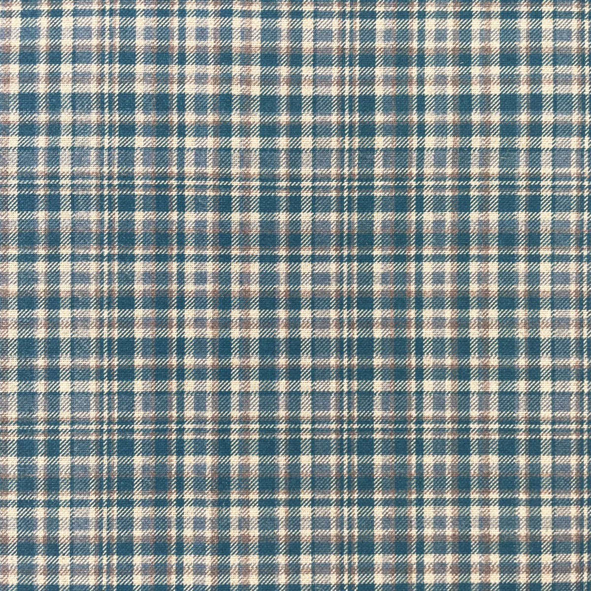 Chatham Glyn Ramsay Buttercup