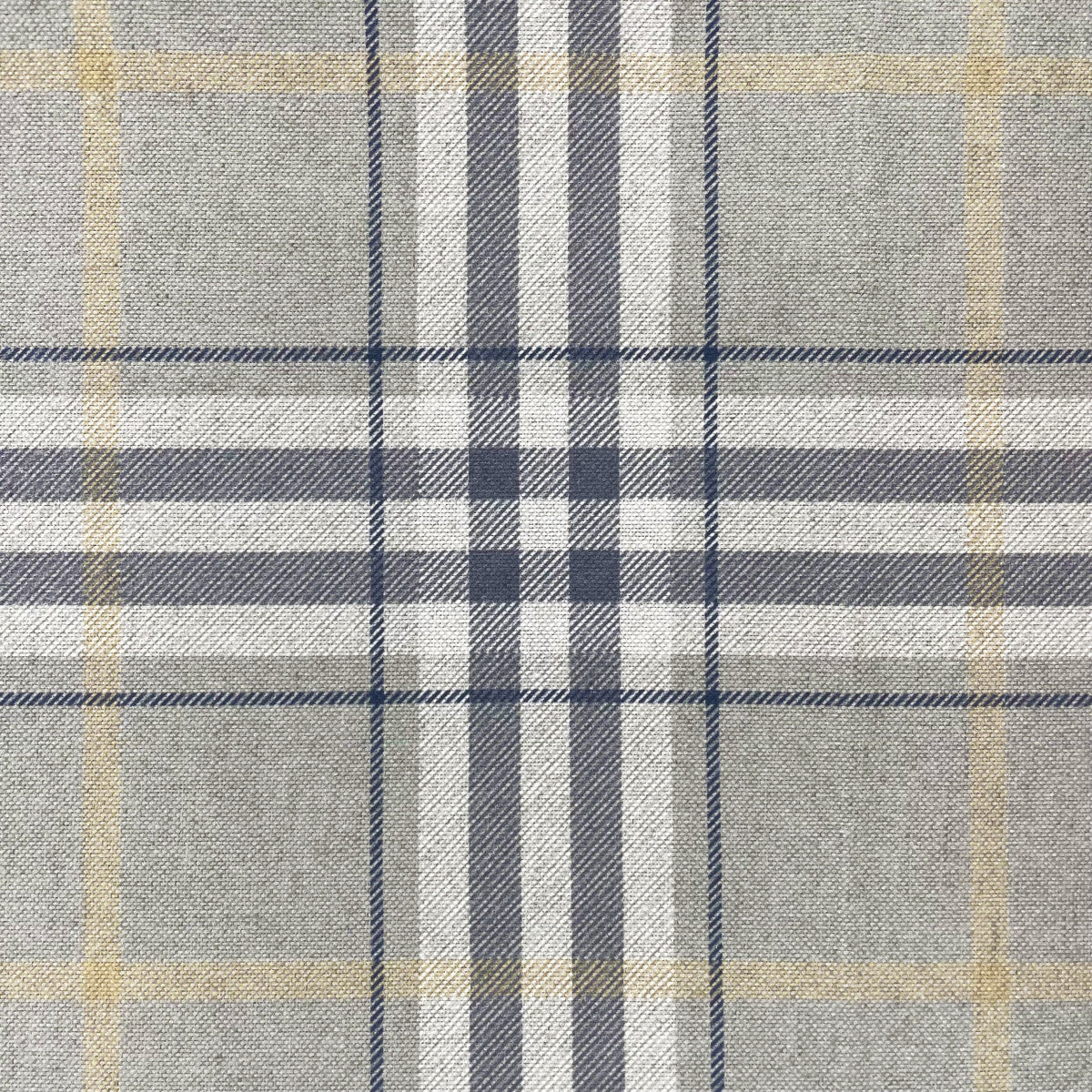 Chatham Glyn Tavish Buttercup