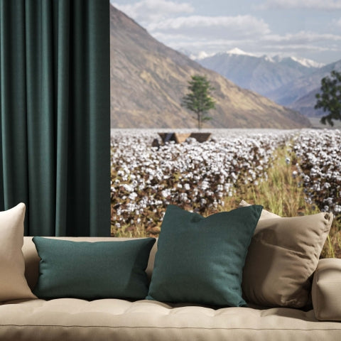 Warwick Oxford Airforce