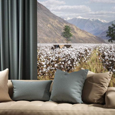 Warwick Oxford Horizon