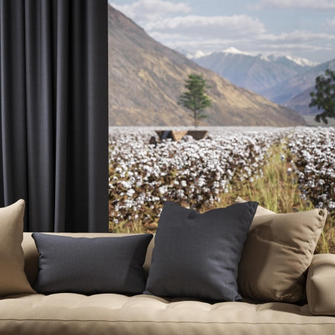 Warwick Oxford Admiral