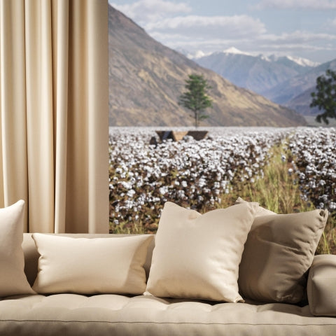 Warwick Oxford Ivory