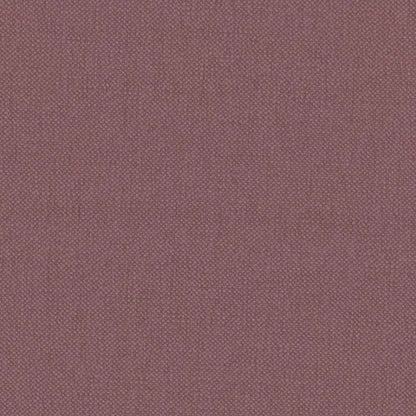 Warwick Oxford Hyacinth