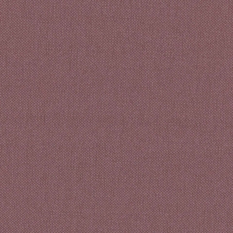 Warwick Oxford Hyacinth