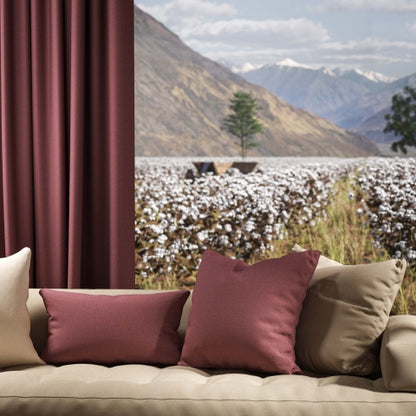 Warwick Oxford Hyacinth