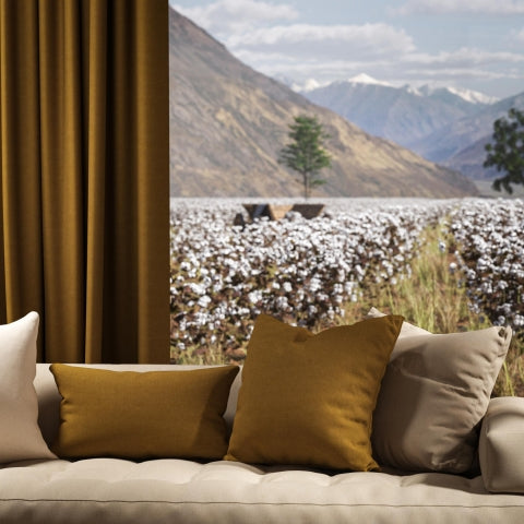 Warwick Oxford Ochre