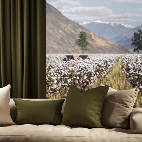 Warwick Oxford Meadow