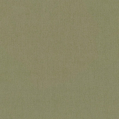 Warwick Oxford Celery