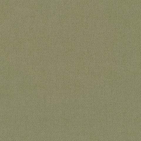 Warwick Oxford Celery