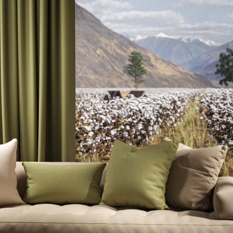 Warwick Oxford Celery