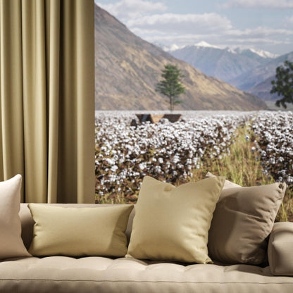 Warwick Oxford Lemongrass