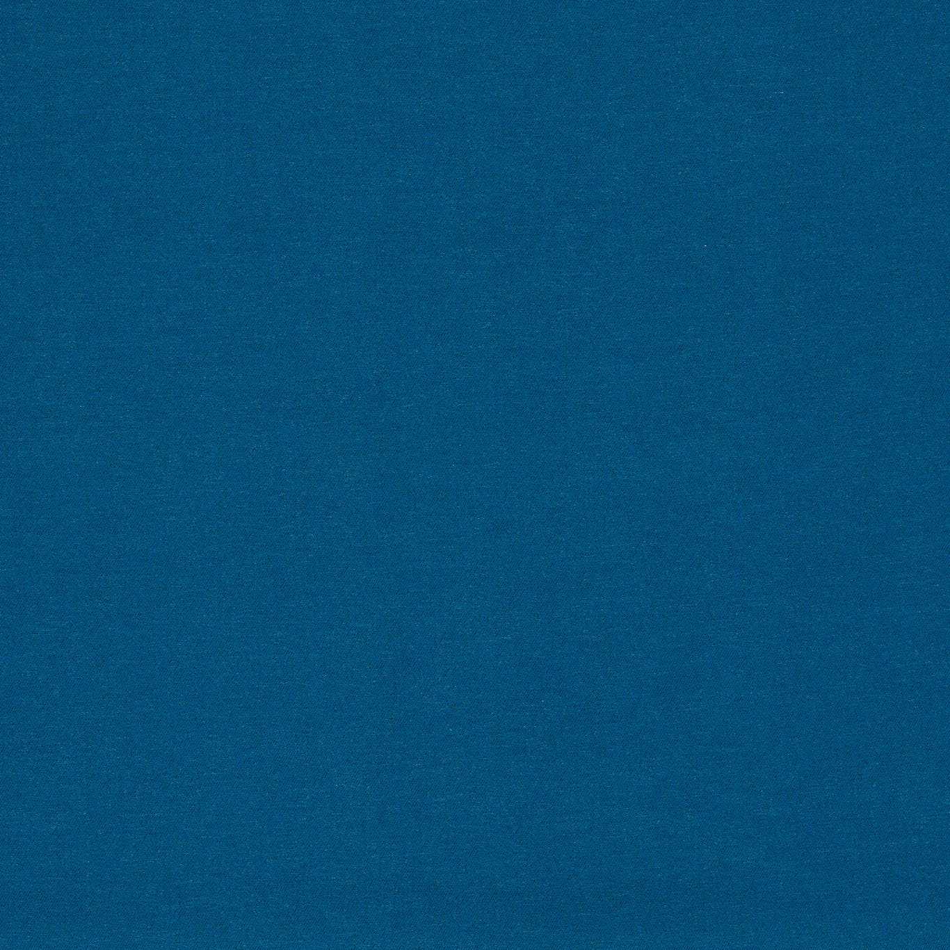 Clarke and Clarke Lugo Outdoor Cobalt