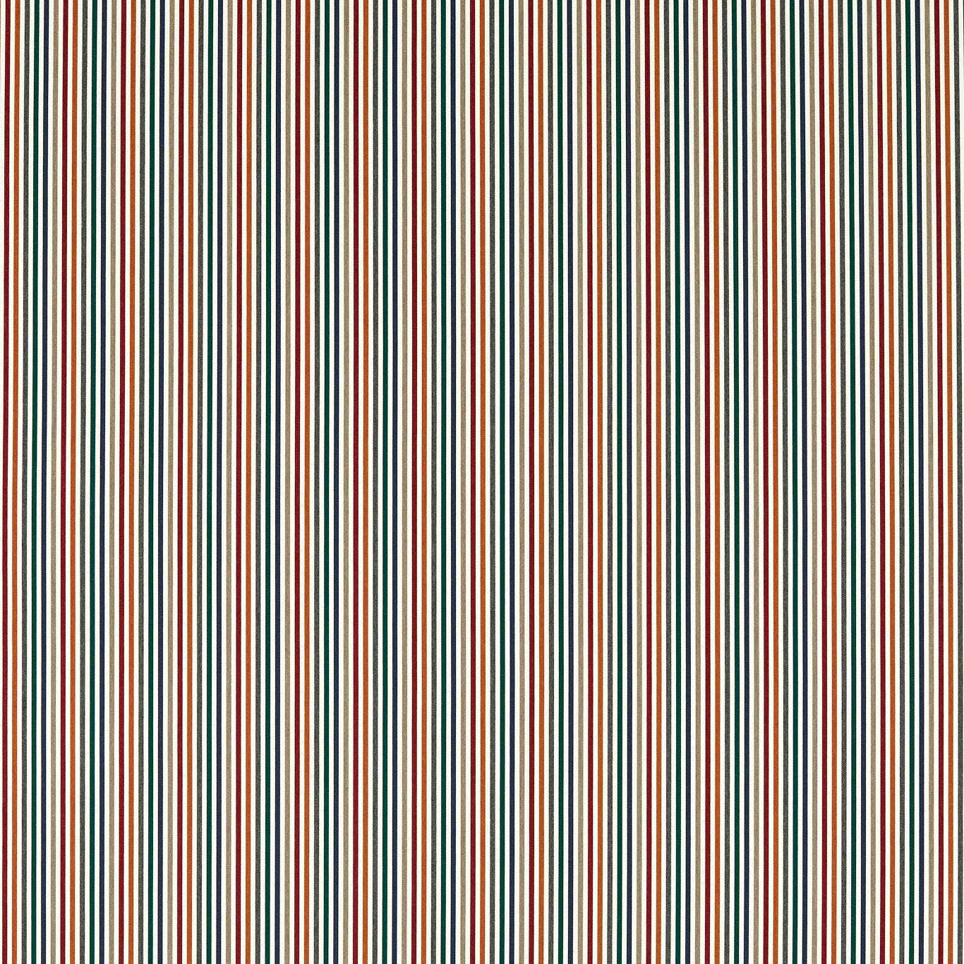 Clarke and Clarke Torezzo Outdoor Multi