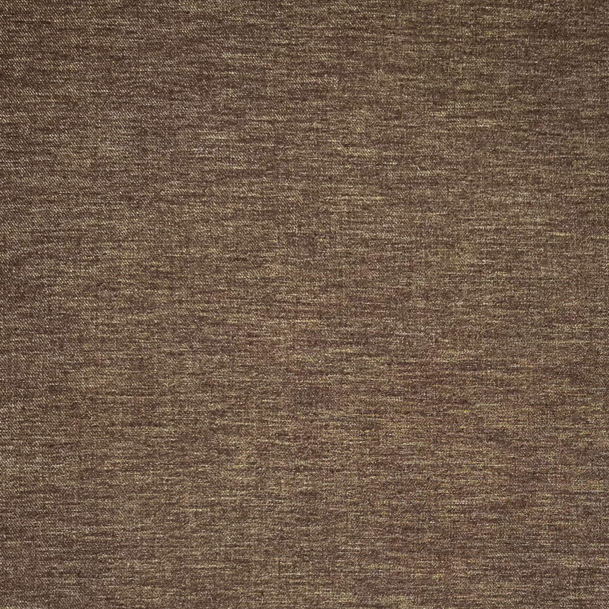 Chatham Glyn Moda Timber Wolf Reverse