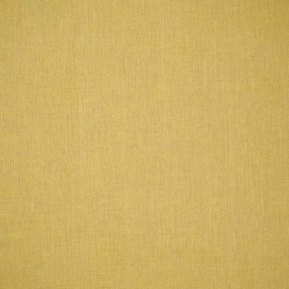 Chatham Glyn Moda Antelope