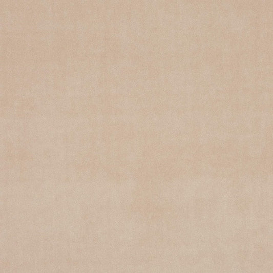 Clarke & Clarke Alvar Taupe