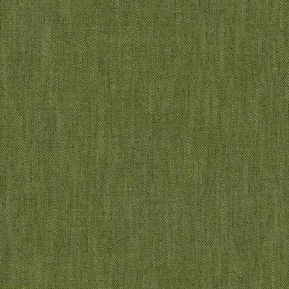 Warwick Parker Kermit