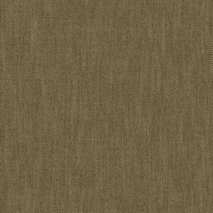 Warwick Parker Olive