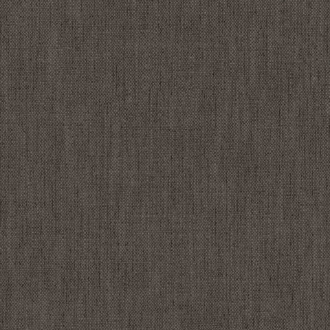 Warwick Parker Graphite