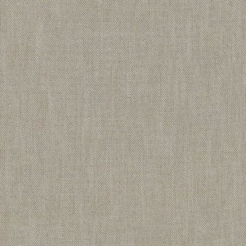 Warwick Parker Papyrus