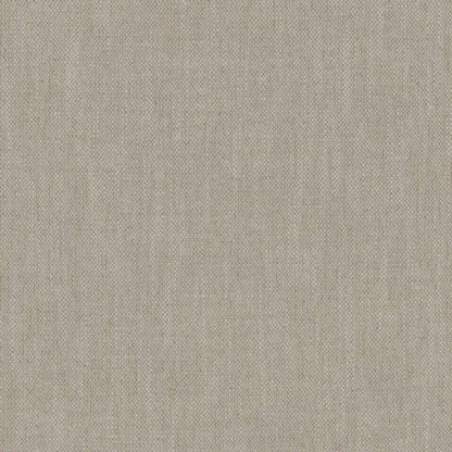 Warwick Parker Papyrus