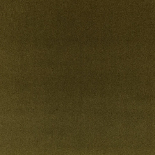 Kirkby Design Still Fern