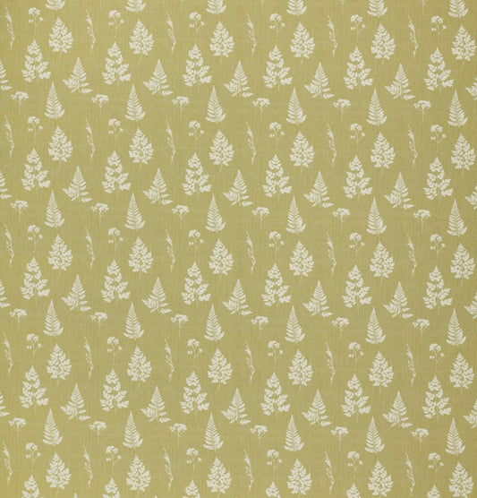 Ashley Wilde Tynesfield Pollen