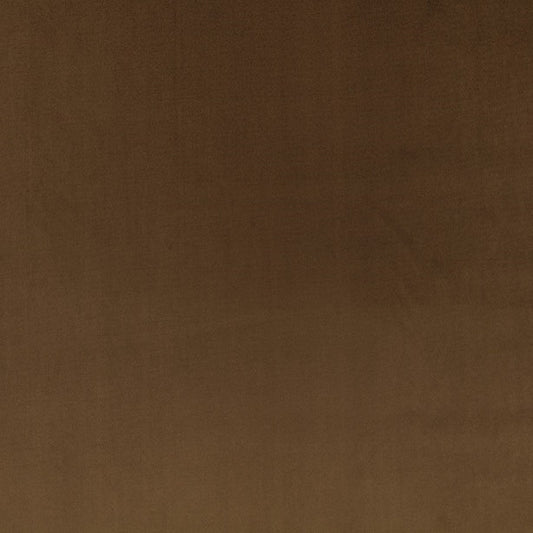 Villa Nova Rio Sparrow