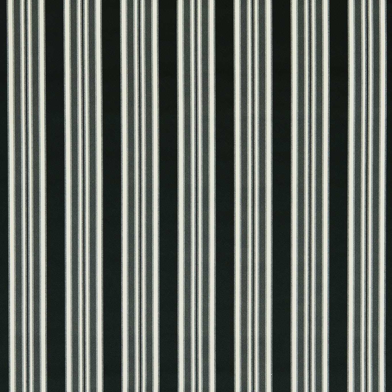 Clarke & Clarke Wilmott Ebony