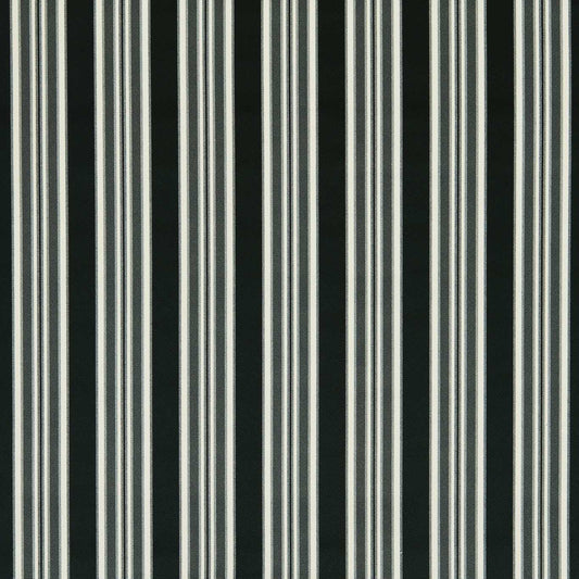 Clarke & Clarke Wilmott Ebony