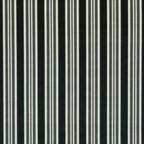 Clarke & Clarke Wilmott Ebony