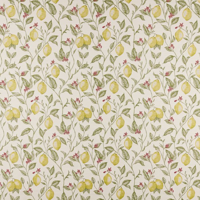 Ashley Wilde Verna Lemon