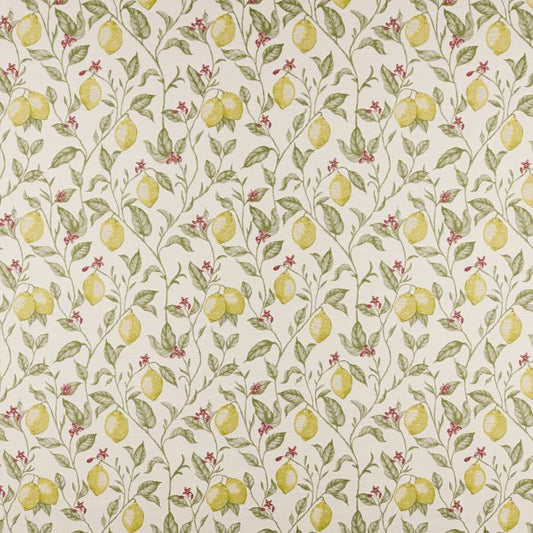 Ashley Wilde Verna Lemon