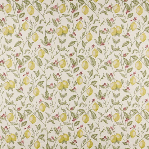 Ashley Wilde Verna Lemon