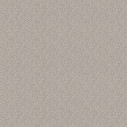 Ashley Wilde Ontario Dove