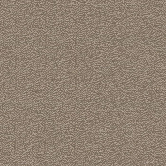 Ashley Wilde Ontario Mole