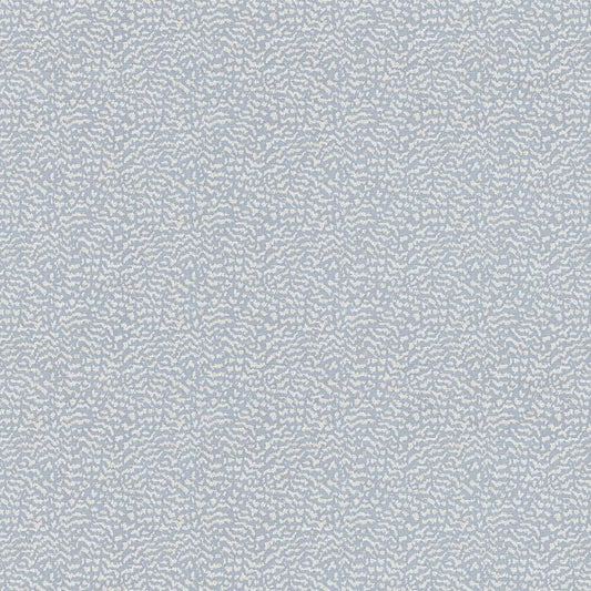 Ashley Wilde Ontario Wedgewood