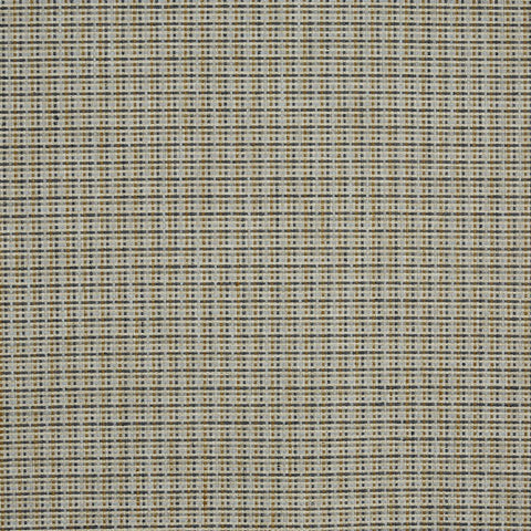 Prestigious Textiles Rainier Umber